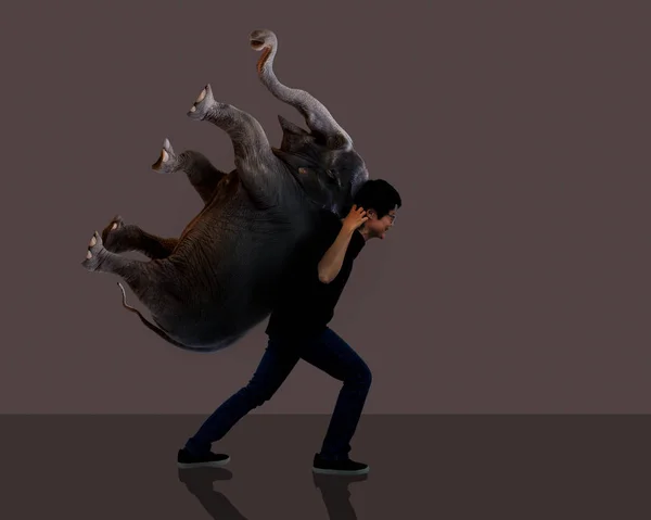 Asyalı kadın büyük fil kaldırma — Stok fotoğraf