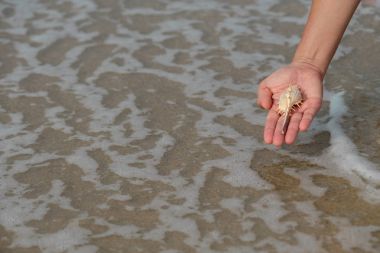 Bir kabuk kadının ellerinde 