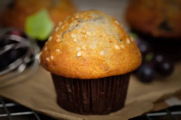 Borůvkové muffiny zátiší v rustikálním stylu. — Stock fotografie