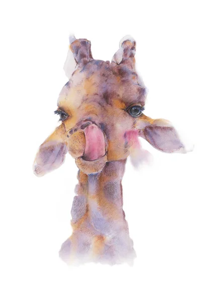 Aquarela ilustração de girafa é furar língua lambendo th — Fotografia de Stock