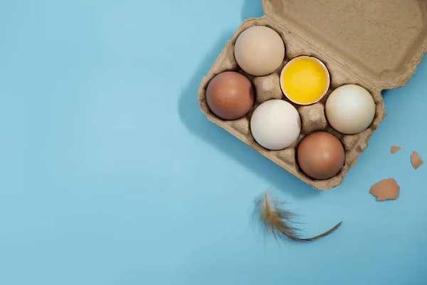 Το αυγό είναι ευεργετική για το σώμα — Φωτογραφία Αρχείου
