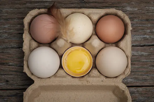 Το αυγό είναι ευεργετική για το σώμα — Φωτογραφία Αρχείου