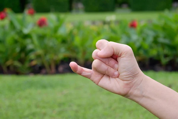 Mani donna mostrando mignolo su sfondo parco verde — Foto Stock