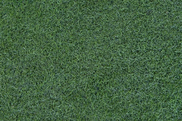 Πράσινο γρασίδι υφή φόντο — Φωτογραφία Αρχείου
