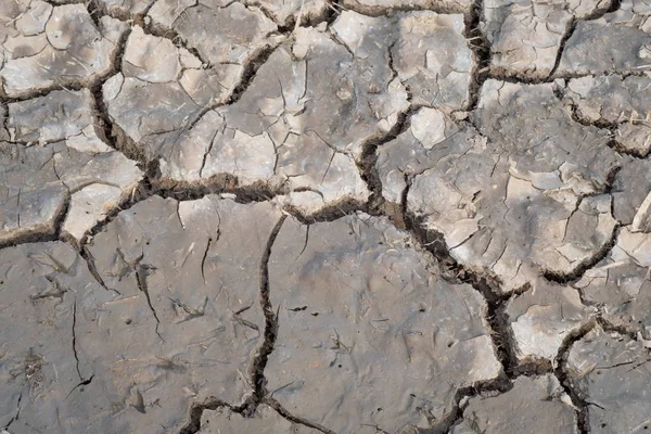 Crack soil on dry season Stock Image