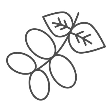 Çiğ kakao kabuğu ve ince çizgi ikonu. Kahve, yaprak ve tahıl sembolü, beyaz arka planda ana hatlı resim. Mobil konsept için doğa ya da kafe tabelası, web tasarımı. Vektör grafikleri.