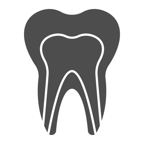 Человеческая стоматологическая модель твердая икона. Здоровая структура зуба профиль вид символа, пиктограмма в стиле глифа на белом фоне. Стоматологический знак для мобильной концепции и веб-дизайна. Векторная графика . — стоковый вектор