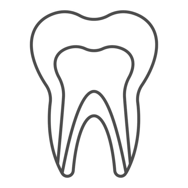 Människans tandläkarmodell tunn linje ikon. Friska tand struktur profil visa symbol, skissera stil piktogram på vit bakgrund. Tandvård tecken för mobila koncept och webbdesign. Vektorgrafik. — Stock vektor