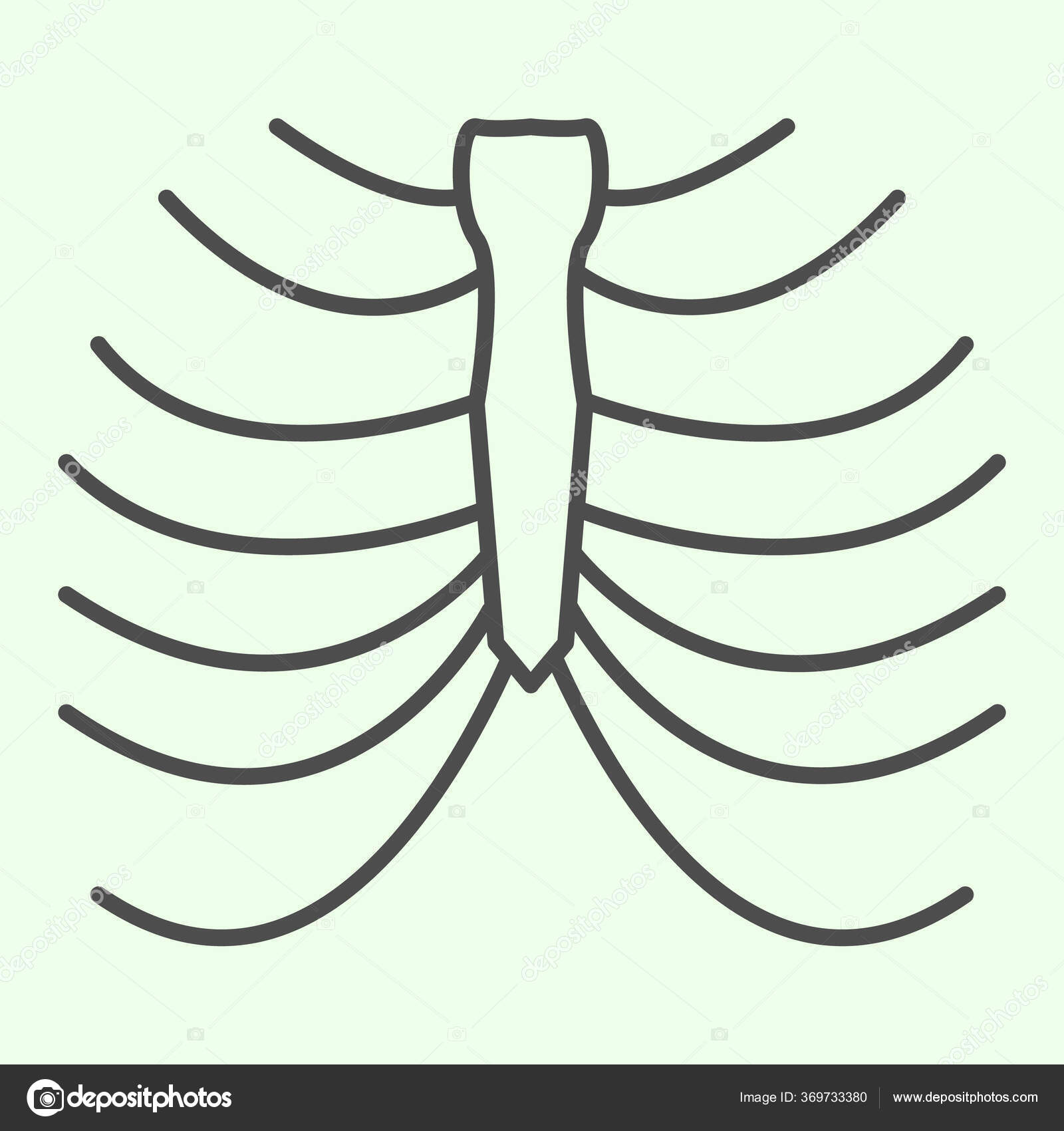 립우리 골격얇은 선 아이콘. 사람 흉부 x-ray 윤곽은 흰색 배경에 픽 토 그램 스타일이다. 해부학 과 장기는 모바일 컨셉 과 웹  디자인을 표시한다. 벡터 그래픽. 스톡 벡터 - ©sabustock 369733380, image size:1600x1700