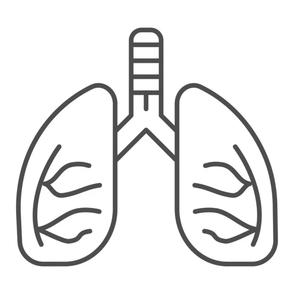 Pulmones icono de línea delgada. Ilustración de vectores de anatomía humana aislada en blanco. Diseño de estilo de esquema de órgano, diseñado para web y aplicación. Eps 10 . — Vector de stock
