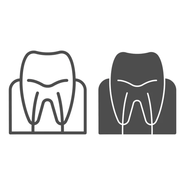 Línea de encías dentales e icono de glifo. Ilustración del vector raíz dental aislada en blanco. Diseño de estilo de esquema de cuidado dental, diseñado para web y aplicación. Eps 10 . — Archivo Imágenes Vectoriales