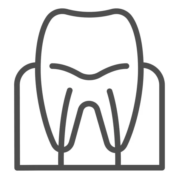 Icono de línea de goma de mascar. Ilustración del vector raíz dental aislada en blanco. Diseño de estilo de esquema de cuidado dental, diseñado para web y aplicación. Eps 10 . — Vector de stock