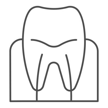 Diş eti, ince çizgi ikonu. Diş kökü çizimi beyaza izole edildi. Diş sağlığı tasarımı, web ve uygulama için tasarlanmış. Eps 10.