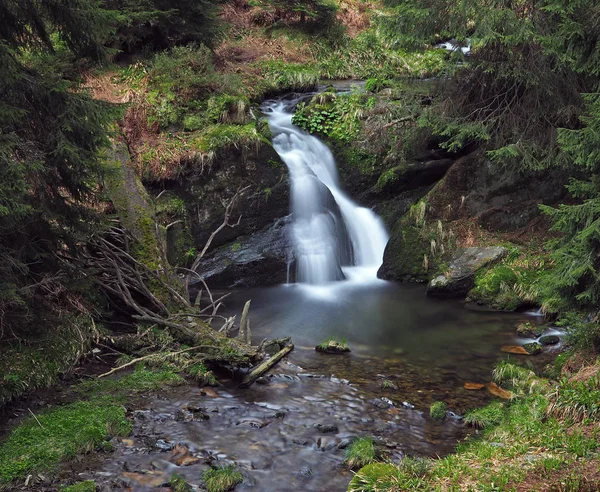 Cachoeira floresta na montanha jeseniky no rio bila opava — Fotografia de Stock