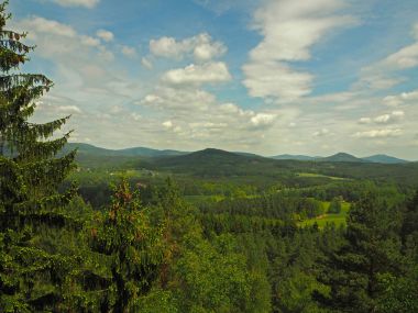 ladin ağaçları orman tepeler ivedik görünümü ve çayırları