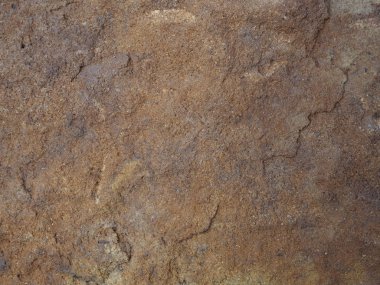 eski doğal kumtaşı organik doku - yumuşak bej arka plan