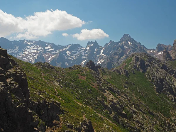 Grüner Kamm mit schneebedeckten Bergen Hintergrund und einem blauen sk — Stockfoto