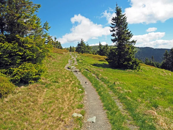 Caminho pedestre em Jeseniky grama montesa, árvore e céu azul e branco — Fotografia de Stock