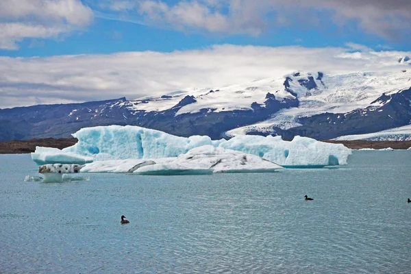 Jokulsarlon 泻湖冰川冰中的蓝色冰块 — 图库照片