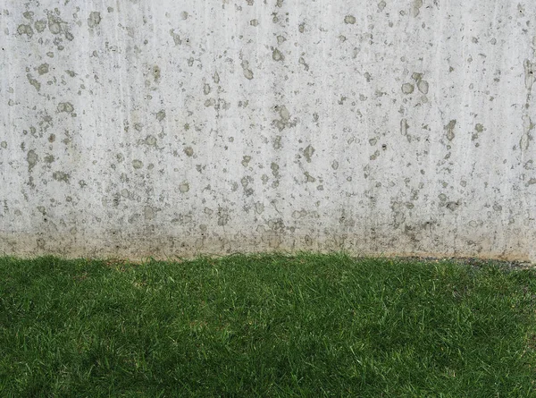 Fresh short lush green grass and modern concrete wall with beige — Stock Photo, Image