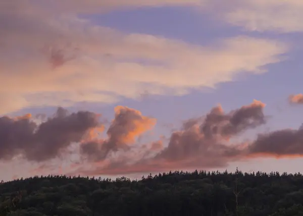 Розовые оранжевые облака заката на зеленом горизонте леса — стоковое фото