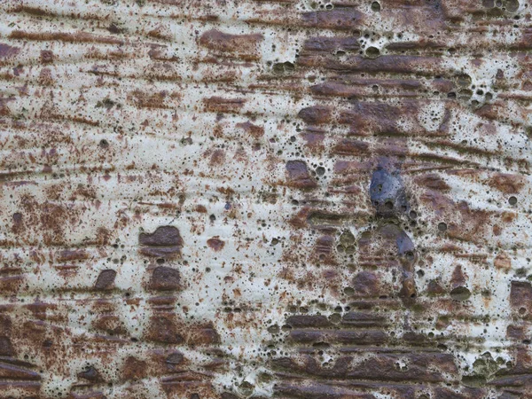 Brown white rusty ceramic wall structure abstract background — Stock Photo, Image