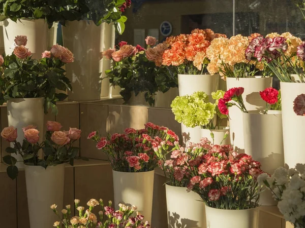 florist shop planty of pink roses and red yellow orange and gree