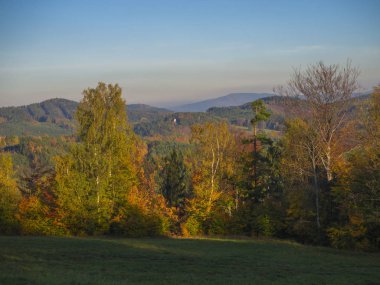 sonbahar renkli orman ve ağaç ve tepeler bef yeşil çayır