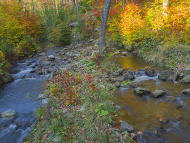 Uzun pozlama sihirli orman akarsu dere taşları mo ile sonbahar