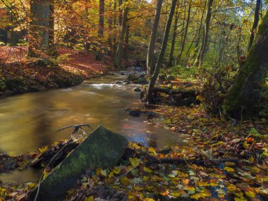 Uzun pozlama sihirli orman akarsu dere taşları mo ile sonbahar