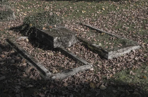 Dwa stare niedotrzymywane rozwiązły opuszczone groby z bluszczu i poległych le — Zdjęcie stockowe