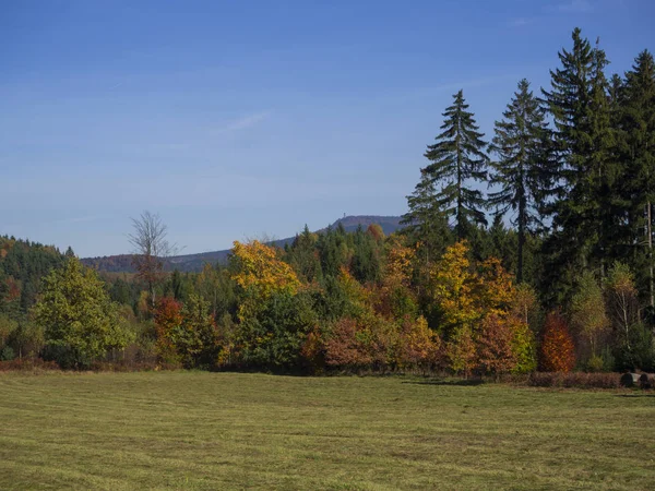Prado con otoño colorido bosque y árboles y colinas con aspecto — Foto de Stock