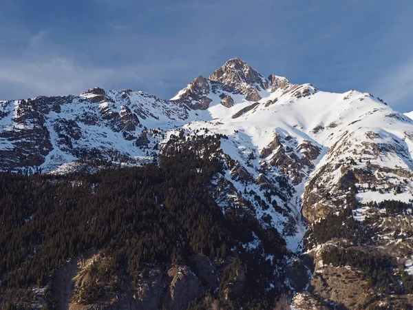 Bosque de abetos y alpes franceses Savoy montaña cubierta de nieve —  Fotos de Stock