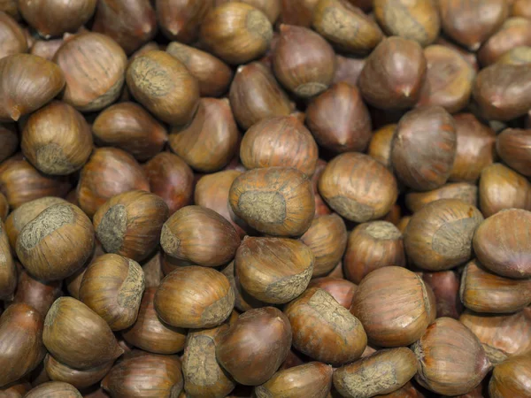 Close up edible raw chestnut background — Stock Photo, Image