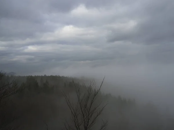Вид на туманный лес и холм с голым лесом — стоковое фото