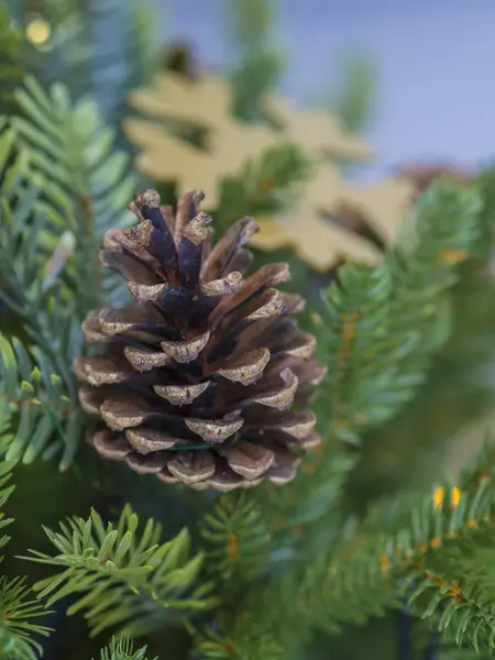 Закрыть сосновый шишек и золотистый снежок на дереве — стоковое фото