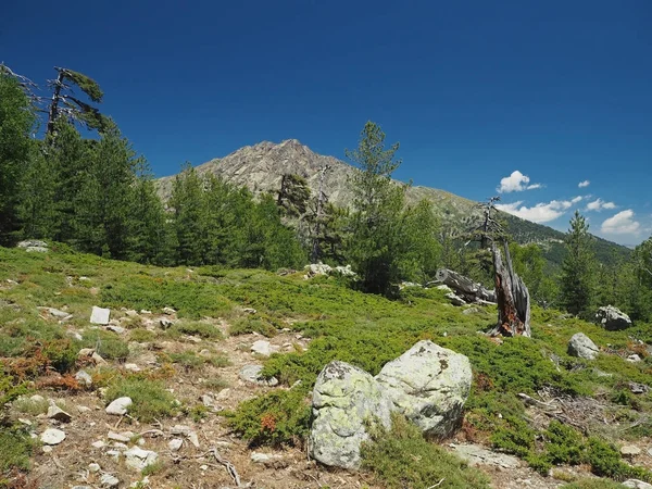 Paisaje sendero de montaña en el prado en los alpes corsicianos con grandes — Foto de Stock