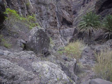 Kanarya Adası, Tenerife, görüntülemek rock ile Kanyon Masca Vadisi üzerinde,