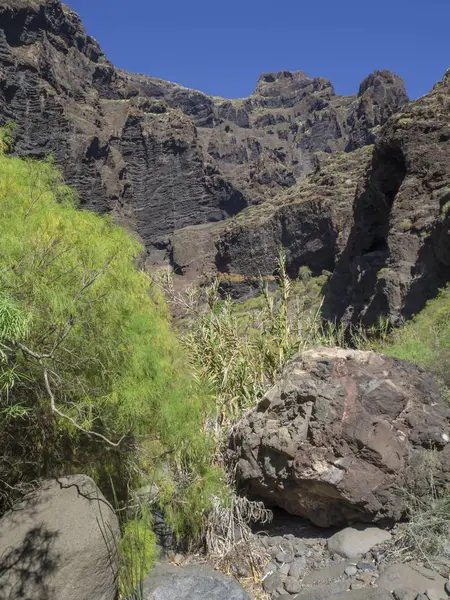 Islas Canarias, Tenerife, vista al cañón del valle de Masca con roca , — Foto de Stock