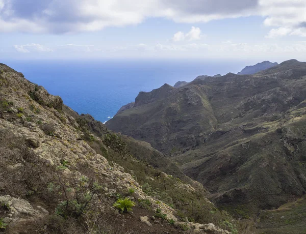 小さな緑、青い海の水平線と溶岩岩の崖、 — ストック写真