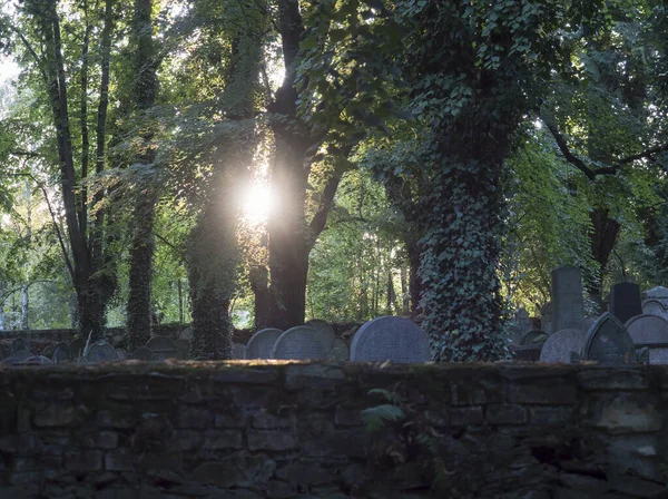Tuğla duvarın arkasındaki eski Yahudi mezarlığına güneş ışınlarıyla bakan manzara., — Stok fotoğraf