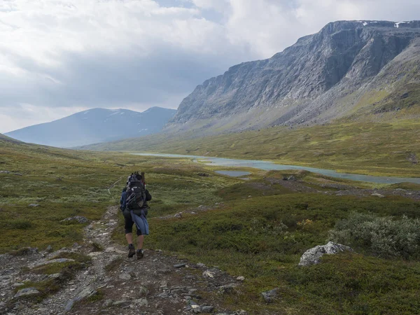 Man hiker with heavy backpack in wild Lapland nature with blue glacial river, birch tree bushes, snow capped mountains and dramatic clouds. Northern Sweden summer at Kungsleden hiking trail.