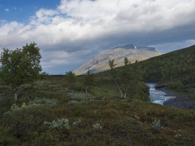 Mavi buzul nehri ve Alesjaure Stf dağ kulübesi, huş ağacı ormanı, kar örtülü dağlar ve yalnız kırmızı çadır, Kuzey İsveç, Kungsleden yürüyüş yolu. Yaz