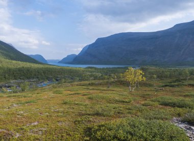 Mavi buzul nehri, Kaitumjaure gölü, huş ağacı ormanı ve dağları olan güzel, vahşi Laponya doğası. Kuzey İsveç yazı Kungsleden yürüyüş parkurunda. Mavi gökyüzü arkaplanı