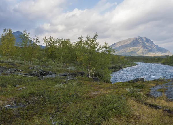 Bela paisagem natural da Lapônia selvagem com rio glaciar azul, arbustos de bétula, montanhas e nuvens dramáticas. Verão no norte da Suécia em Kungsleden trilha de caminhadas . — Fotografia de Stock