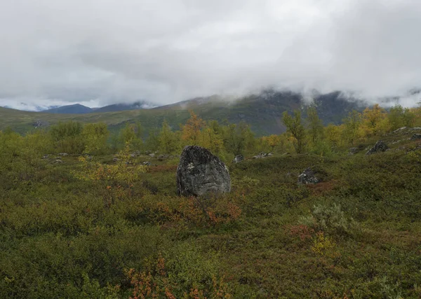 Laponia montañas con rocas, arbustos de color otoñal, abedul y brezo en la niebla y las nubes — Foto de Stock