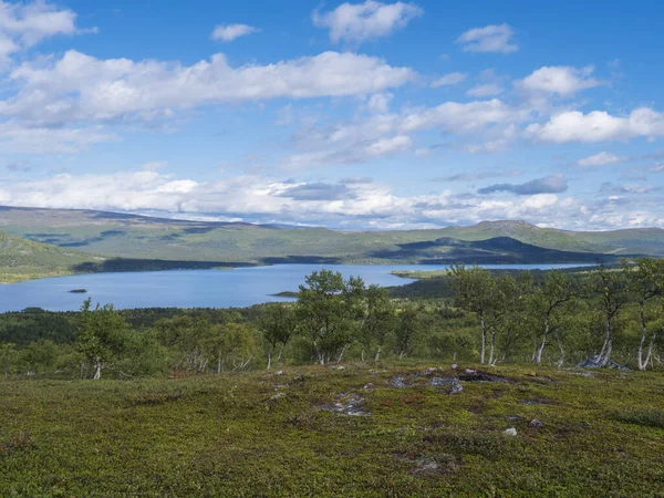 Lappland med vackra Lulealven, snöklädda fjäll, björk och vandringsled på Kungsleden vandringsled nära Saltoluokta. Sommar blå himmel — Stockfoto