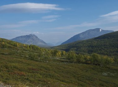 Yeşil çalıları, karla kaplı dağları ve huş ağacı ormanlarıyla güzel, vahşi Laponya manzarası. Kuzey İsveç Yazı Kungsleden yürüyüş parkurunda.
