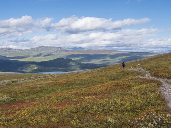 Eenzame man wandelaar op Kungsleden wandelpad met Lapland natuur met groene bergen, rivier de Lulealven, rotsblokken, herfst gekleurde struiken, berkenboom en heide. Blauwe lucht witte wolken. — Stockfoto