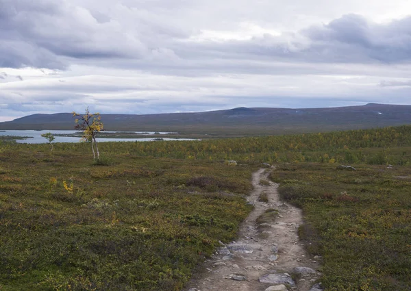 Krajobraz Laponii ze szlakiem turystycznym Kungsleden w północnej Szwecji. Dzika przyroda z jeziorem Kaskajaure, góry, jesienne kolorowe krzewy, brzozy i wrzosowiska. Chmurne niebo — Zdjęcie stockowe